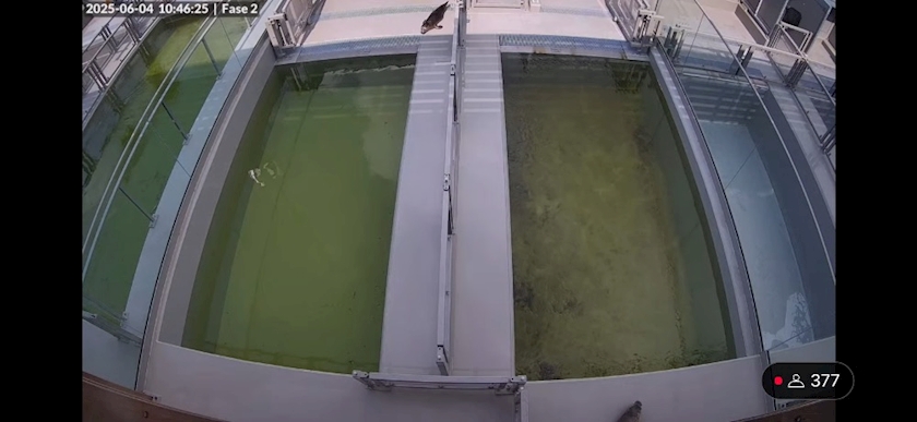 szit5drk2pzyonhii0p_l-jpg