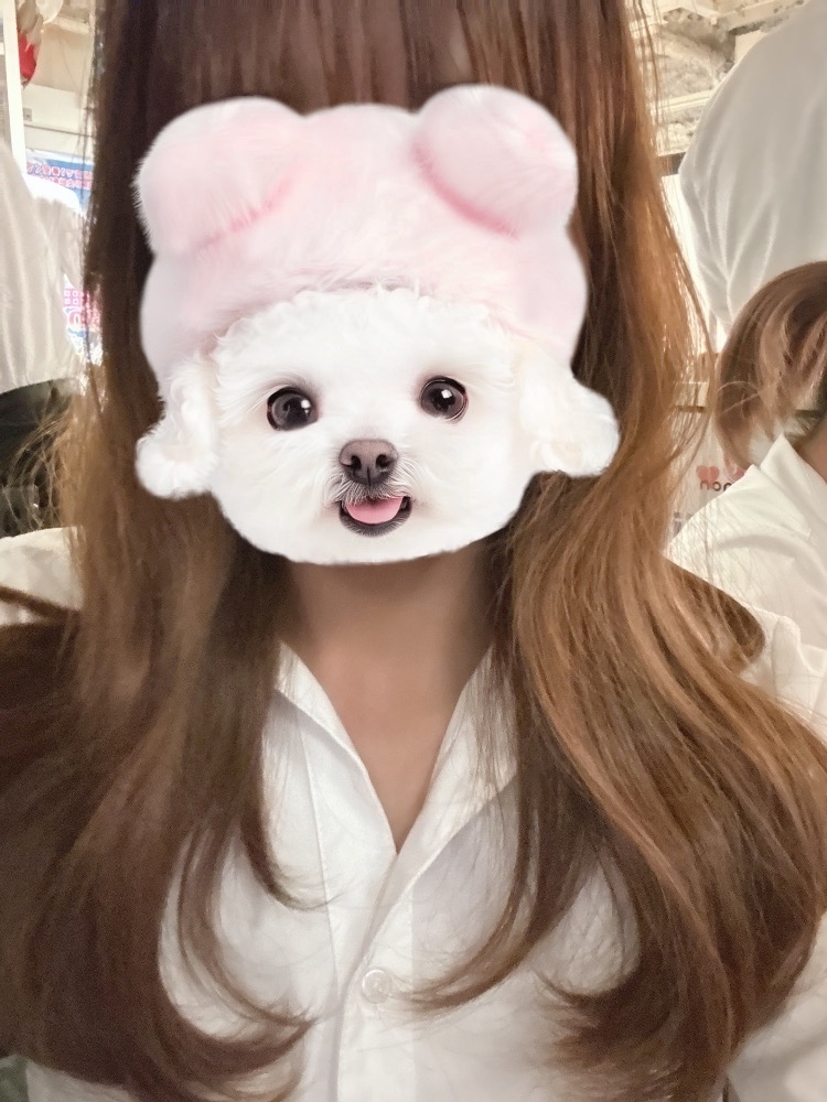 rsdhywf8arcim15hjwl_l-jpg