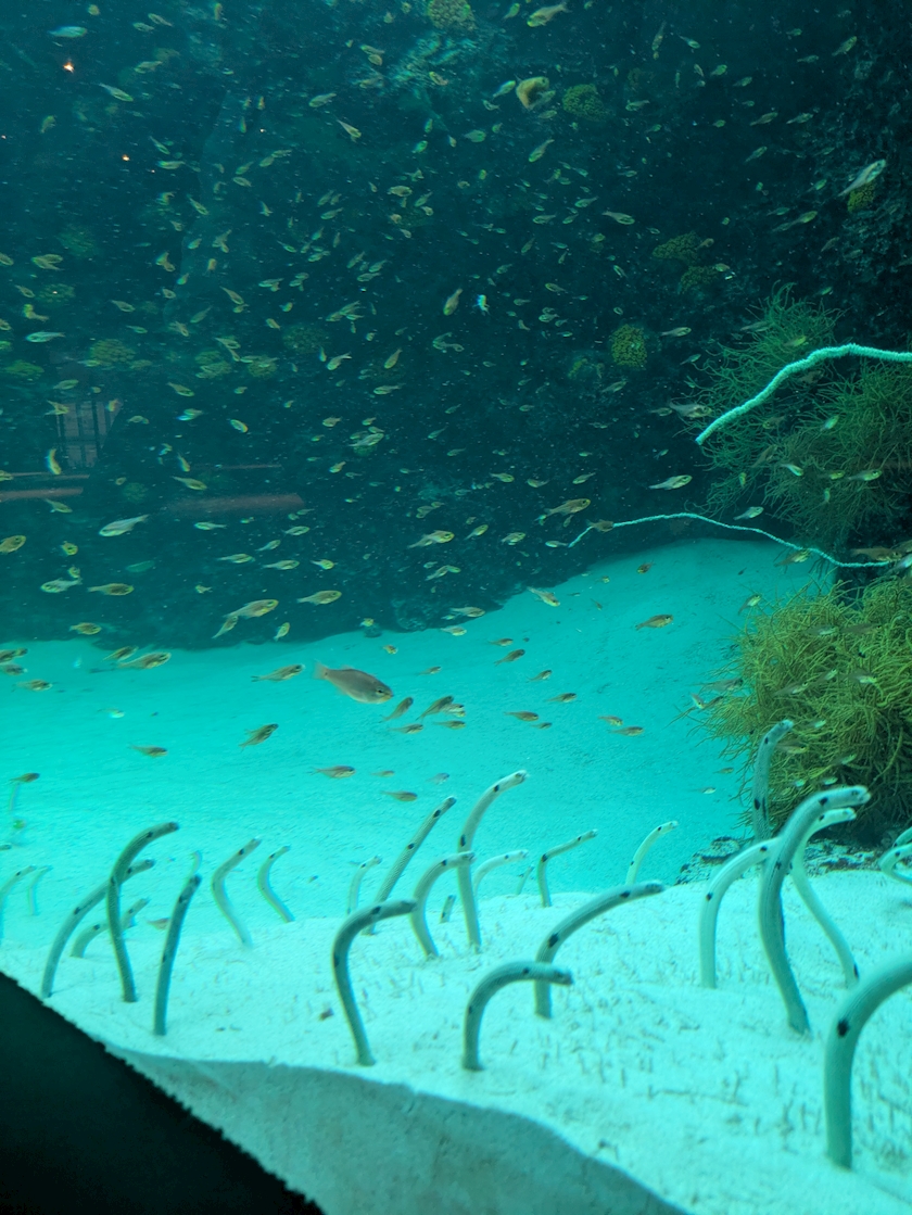 4u0fwdfirtwndiymroe_l-jpg