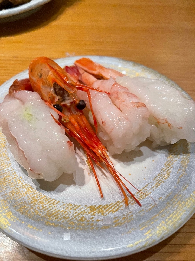 8zh4hx8y6afiejrniql_l-jpg