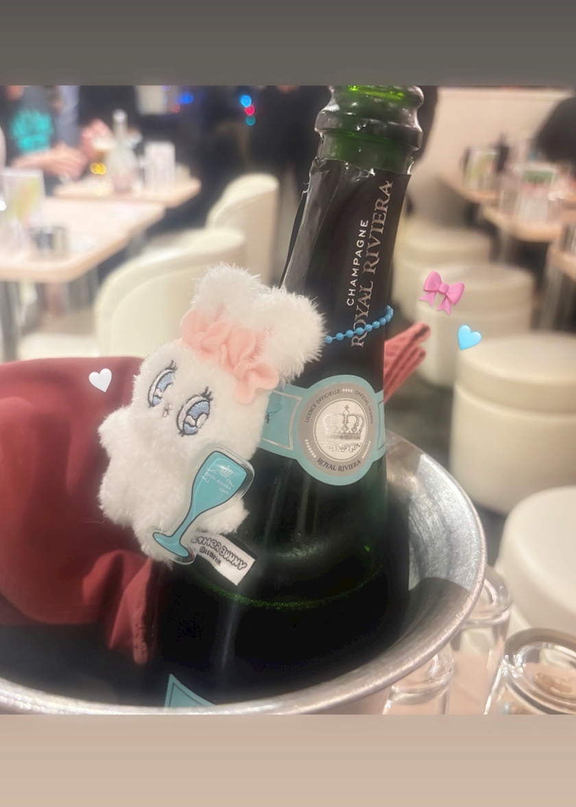 n36vlux2vgsdl91gcoj_l-jpg