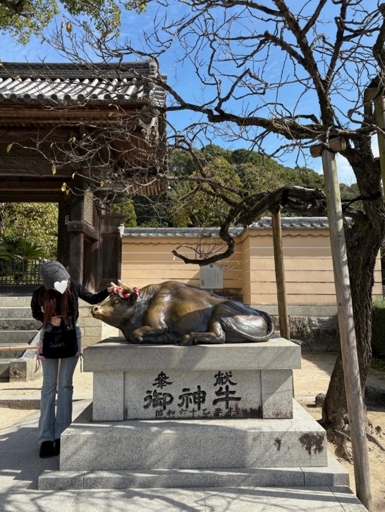 3gn6bnxumlxtum9zzvg_l-jpg