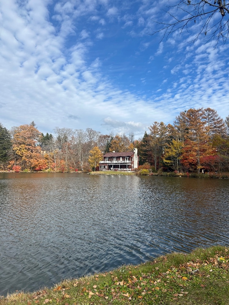 k985aamdsc081pj8ucy_l-jpg