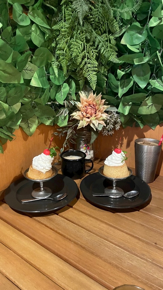 vdmgkoldnprqjf5veeg_l-jpg