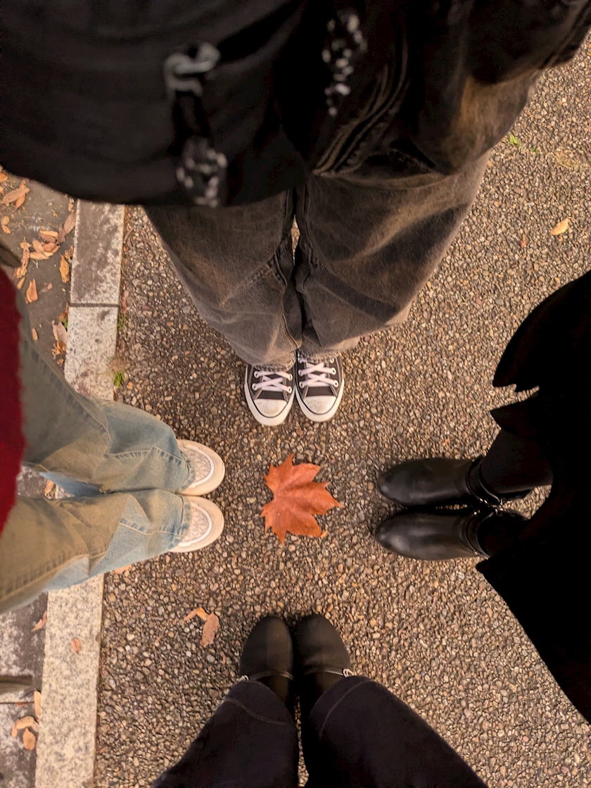 8sv90zhc6dbrf6f2sww_l-jpg