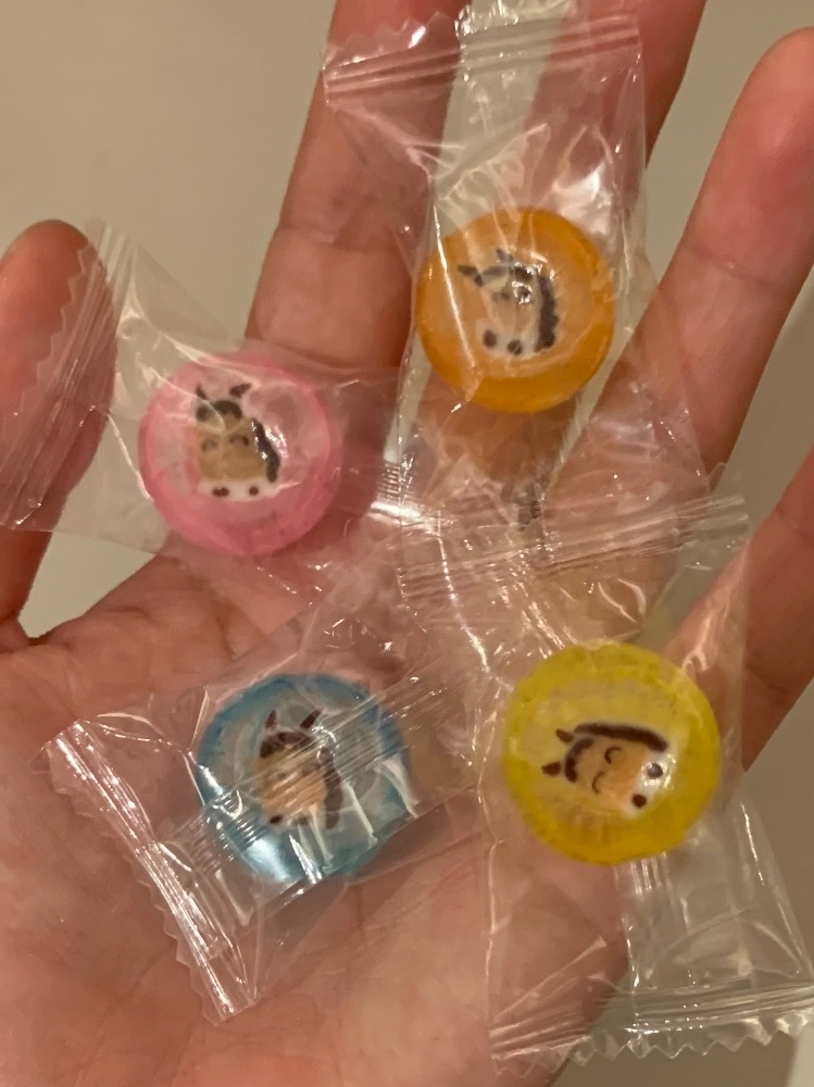 2gjx7h4nil9ijdq2l6l_l-jpg