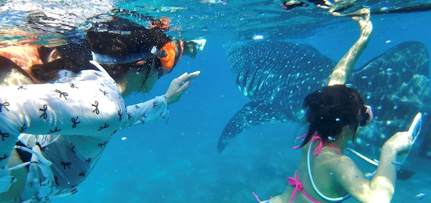 km43iuxlnbvowwt3k6d_l-jpg