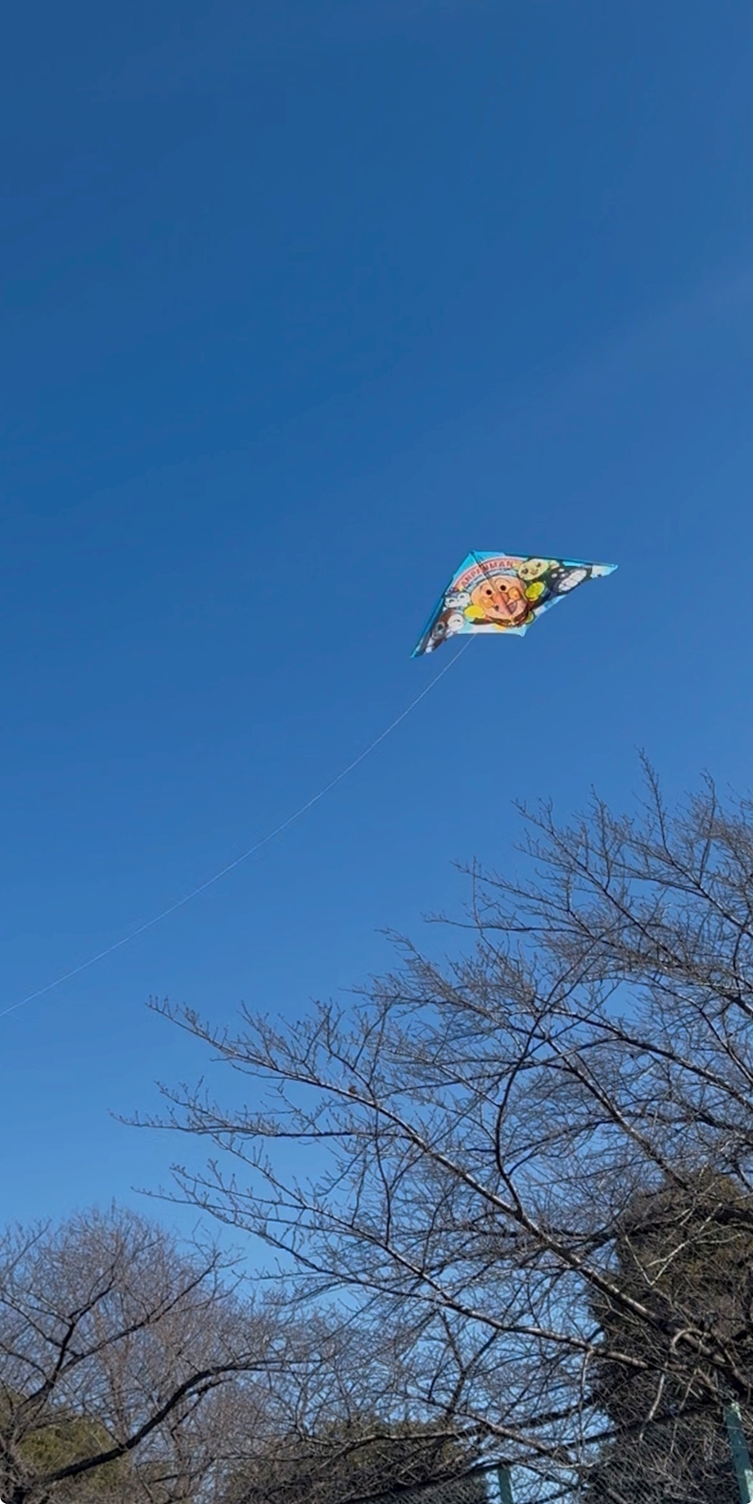 py9tq7ist89skakztyv_l-jpg