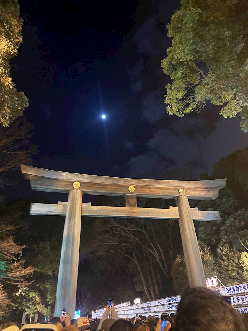 yhlstzz7u1bsv8vbkj3_l-jpg