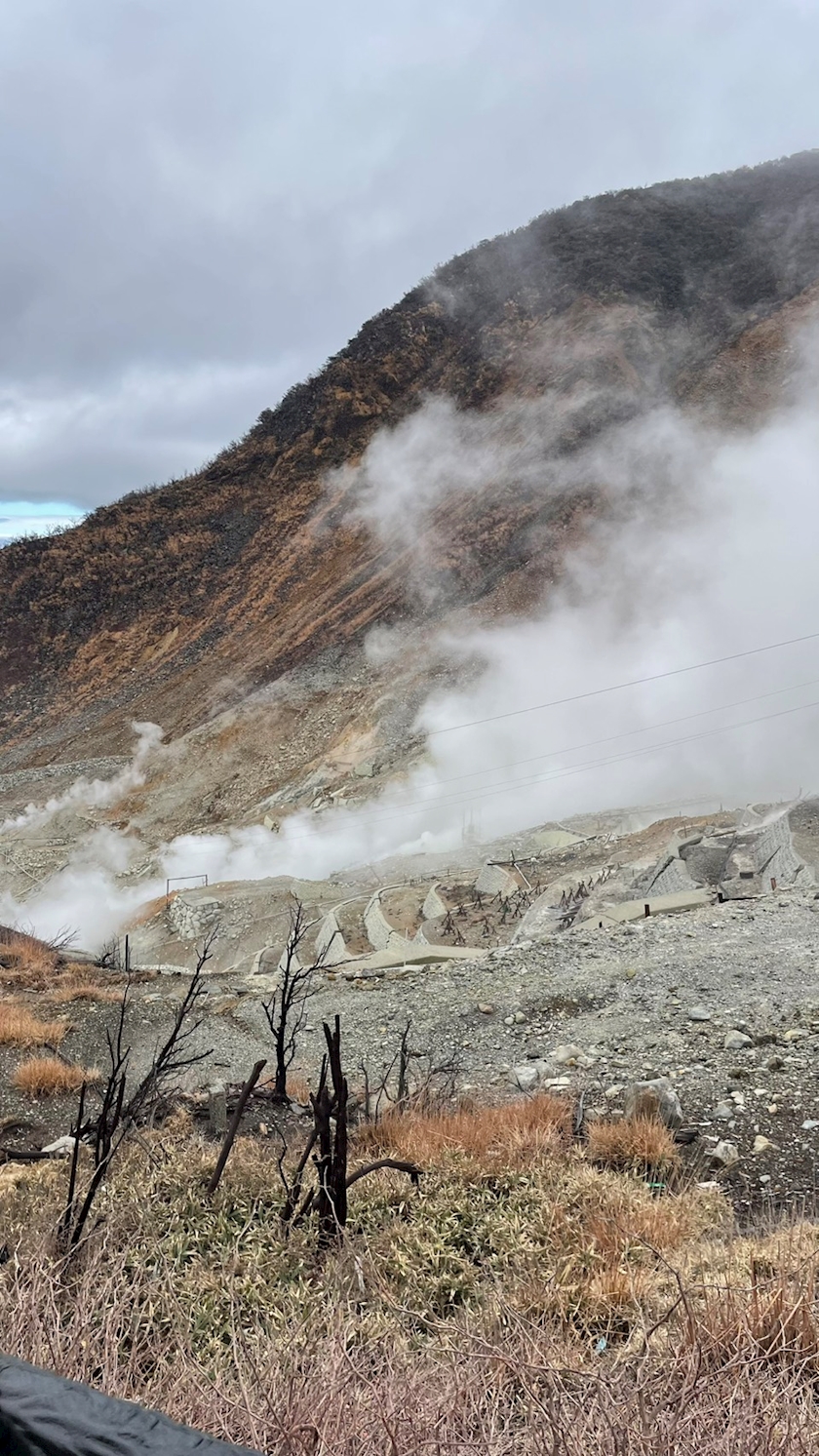 q1cbxycf3u1dtnwdgrt_l-jpg