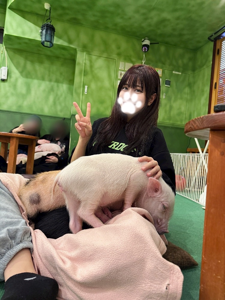 jdxiybcyqiq4ihidj46_l-jpg