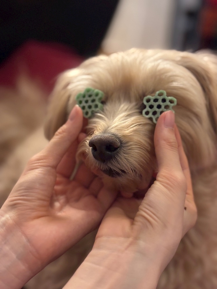 ieacmlousyydhz0p1rj_l-jpg