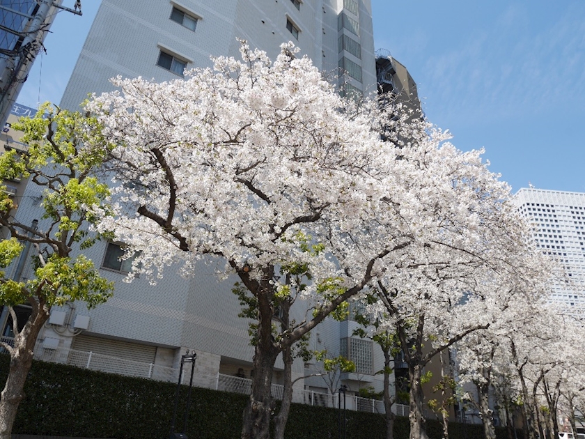 fiqck8waepkddlxoza1_l-jpg