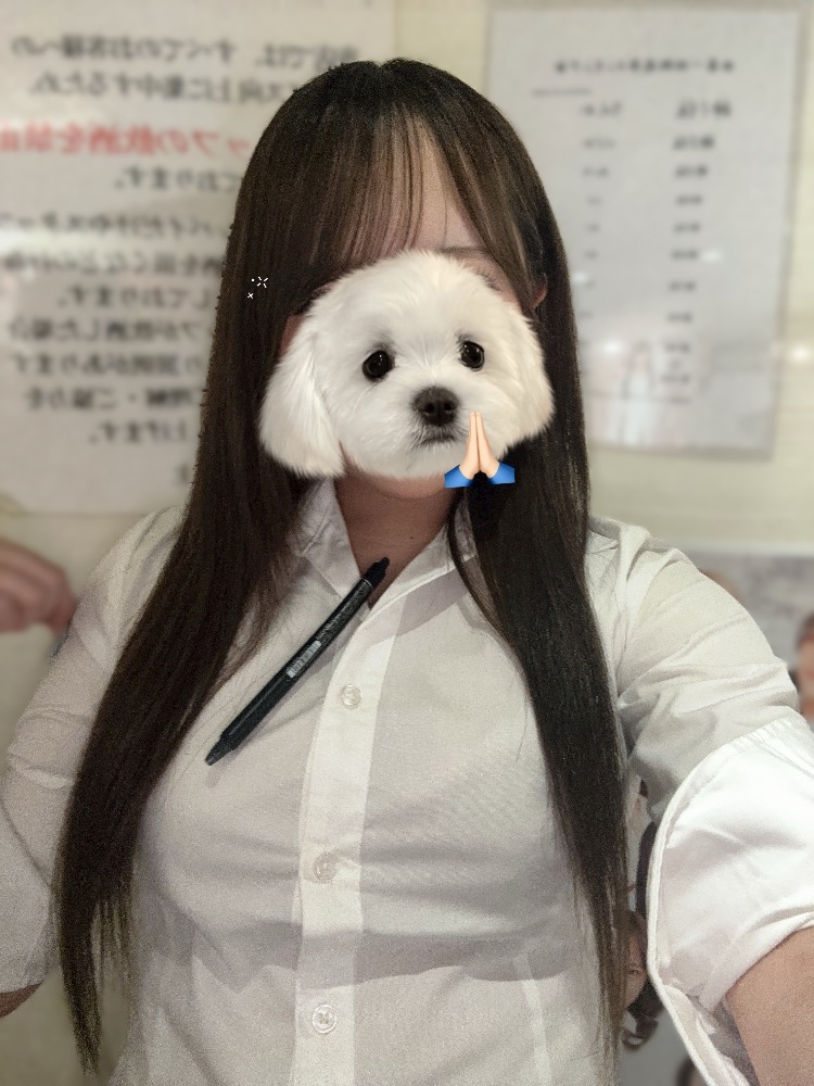 gnzijysdfl7bhaddtrd_l-jpg