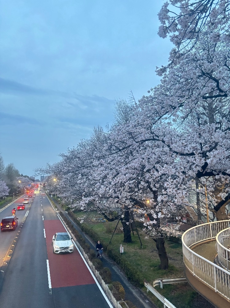 m3ecah4shfpkiaxoxmj_l-jpg