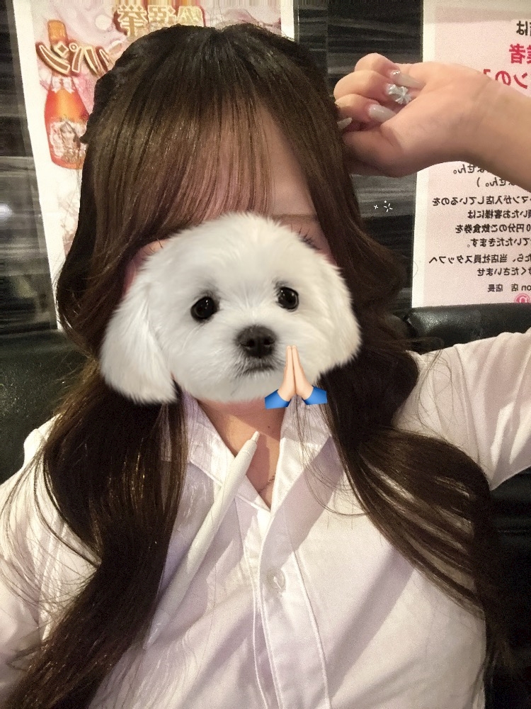 sdt1ysc5qzn5f0zshlo_l-jpg